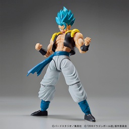 [405472] Dragon Ball  Model Kit Figure Rise  Super Saiyan God Gogeta BANDAI 