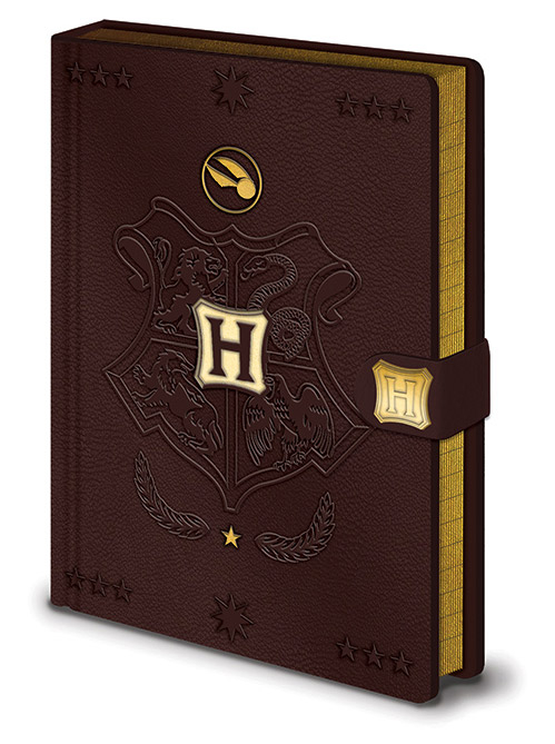 [441805] Agenda A5 Premium Harry Potter Quidditch