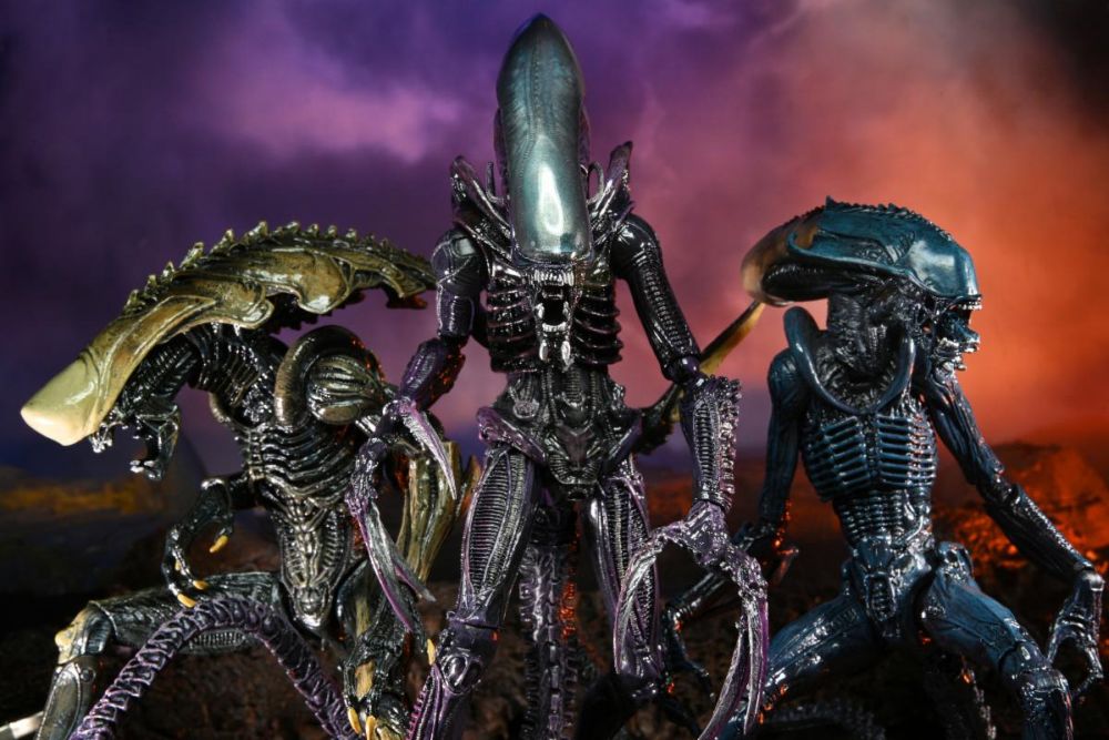 [442216] Alien vs Predator Action Figure Xenomorfi Set 3 Pz 22 Cm NECA
